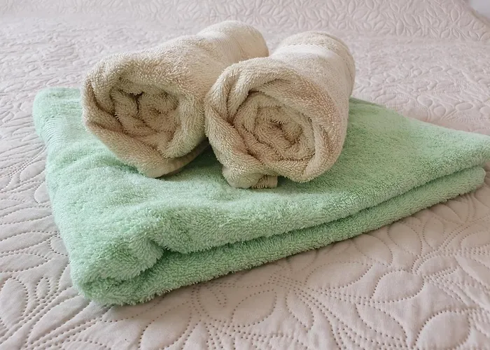 Medulin Apartment Apartment *